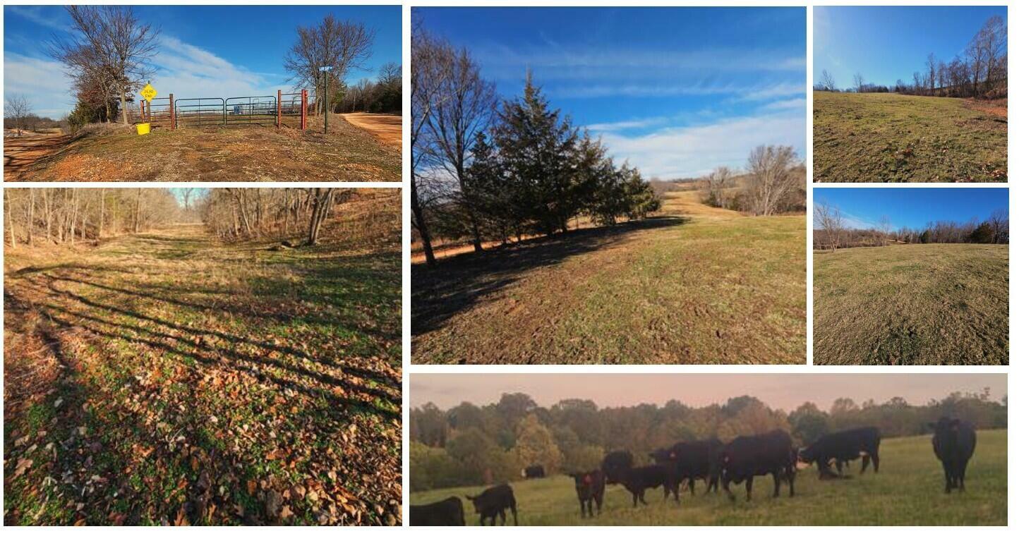 Property Photo:  68.80 Acre Low Gap Road  MO 64854 