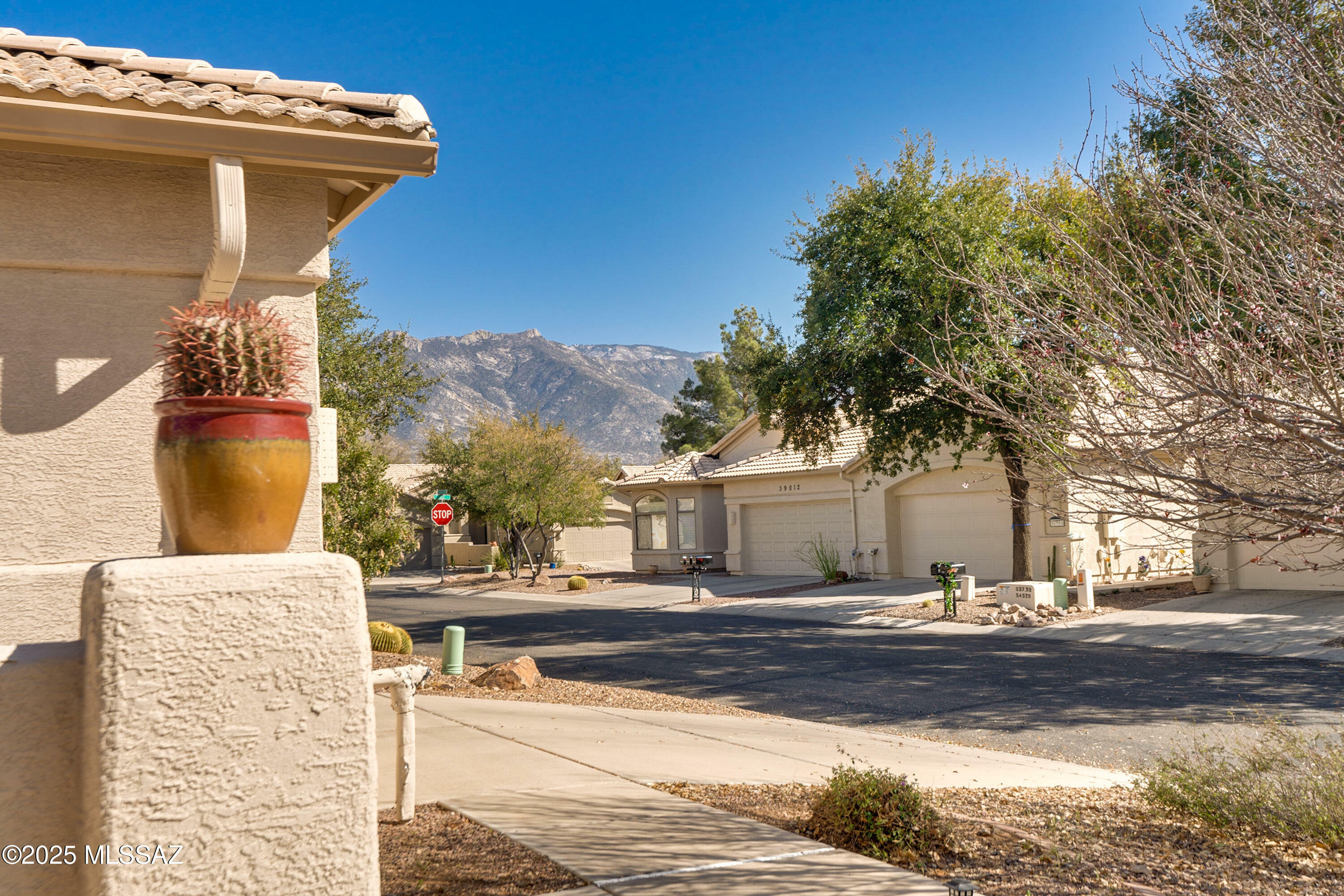 Property Photo:  38967 S Serenity Lane  AZ 85739 