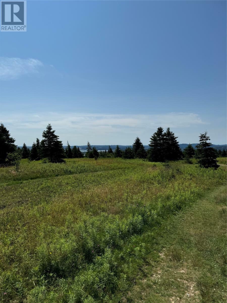 Photo de la propriété:  0 Seymours Road  NL A0A 3X0 