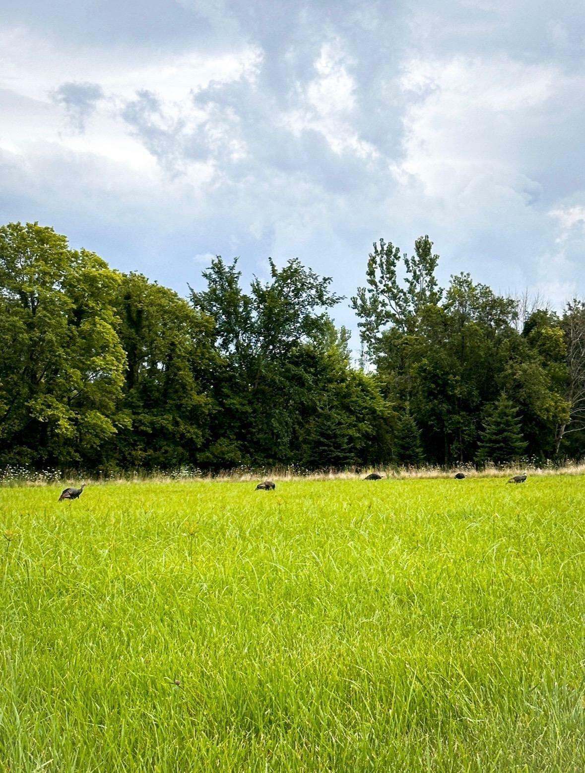 Property Photo:  Xx 250th Street  IA 50622 