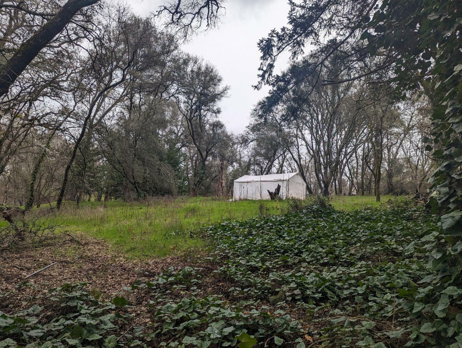 Property Photo: 0 Millertown Road CA 95603
