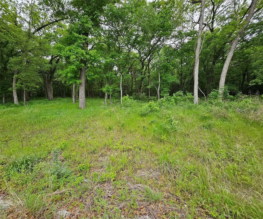 Property Photo:  Lot 221 Banjo Court  TX 76225 
