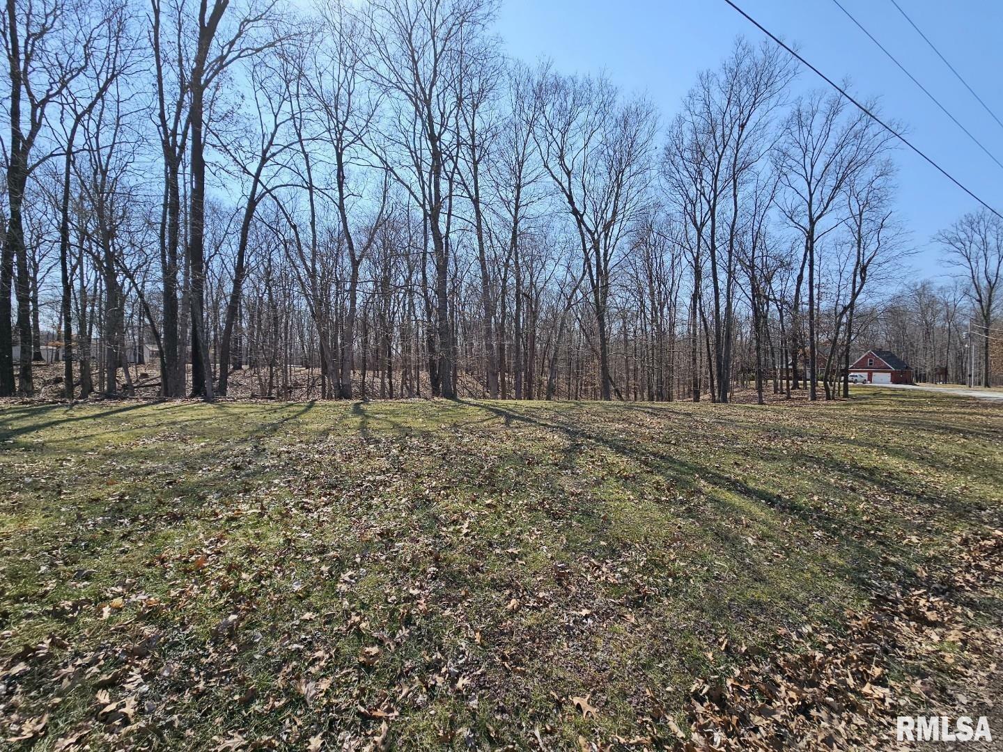 Property Photo:  Lot 2 E Whipporwill Road  IL 62864 