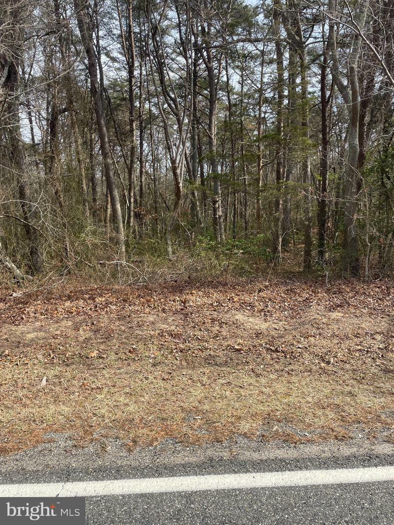 Property Photo:  0 Lawn Avenue  NJ 08311 