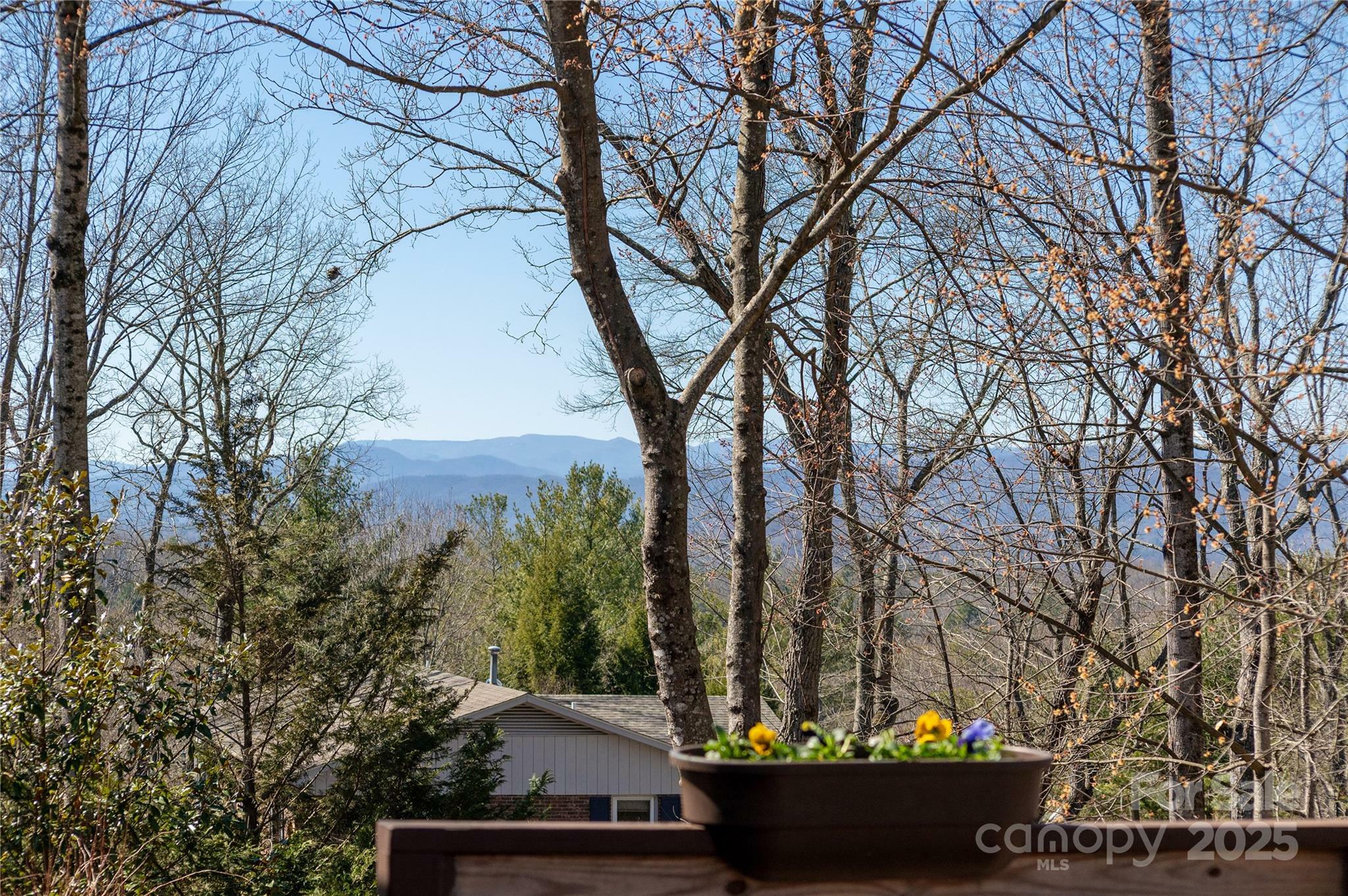 Property Photo:  440 Fawnview Lane  NC 28791 