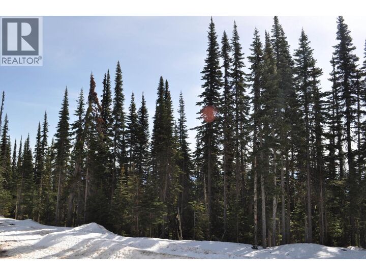 Property Photo:  Lt 6 Alpine Way Pr. St  BC V0J 2N0 