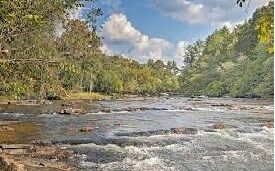 Property Photo:  223 Novena Court  GA 30540 