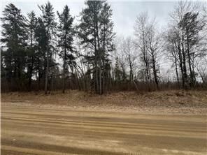 Property Photo:  Tbd Birdsview Lane NW  MN 56601 