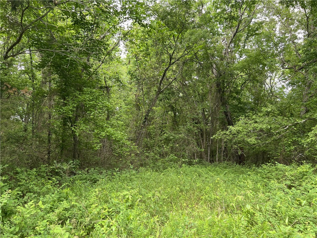 Property Photo:  Tract X On Meadow Creek Drive  AR 72601 