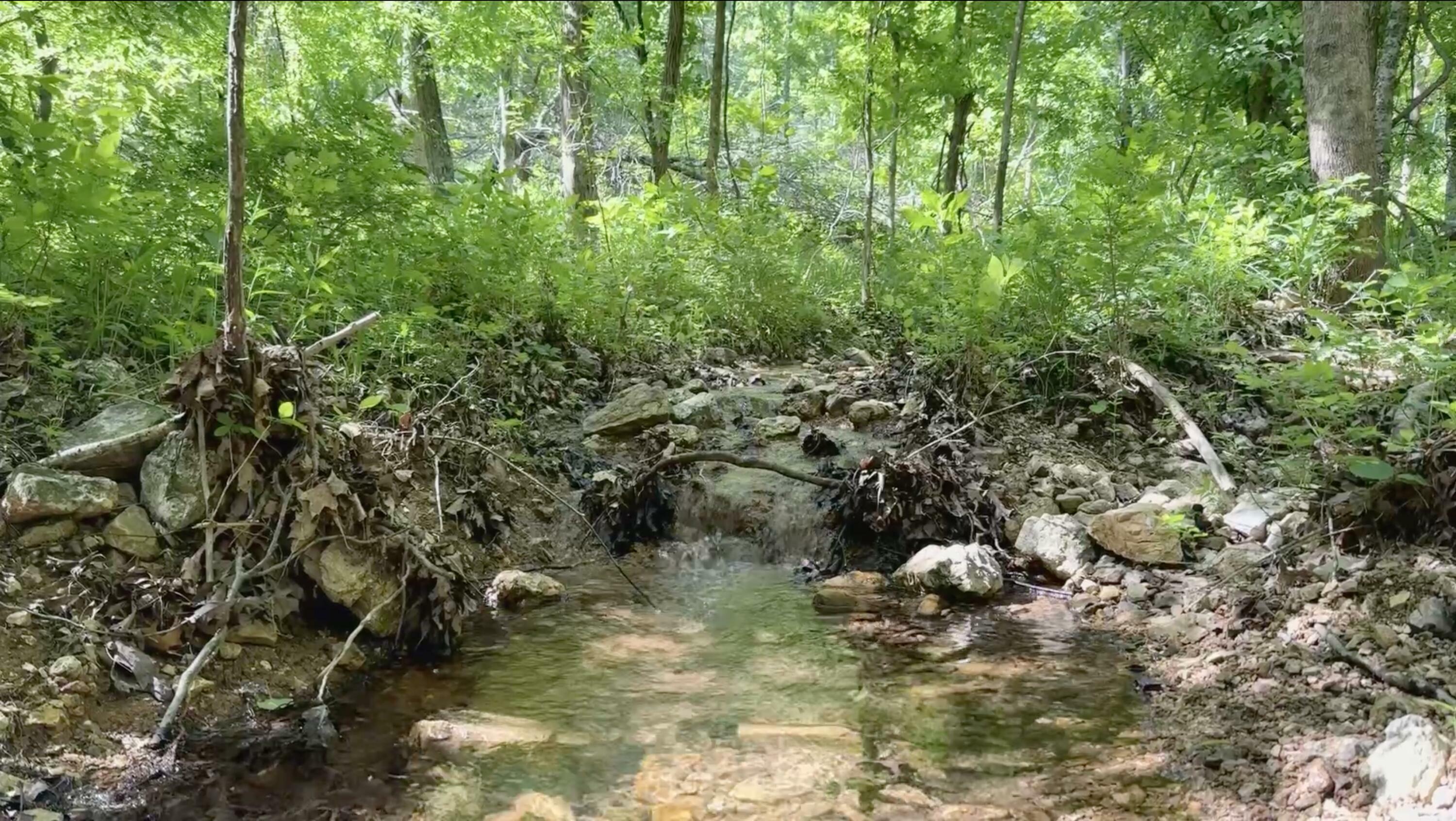 Property Photo: 10824 Upper Janes Creek Road Road AR 72459