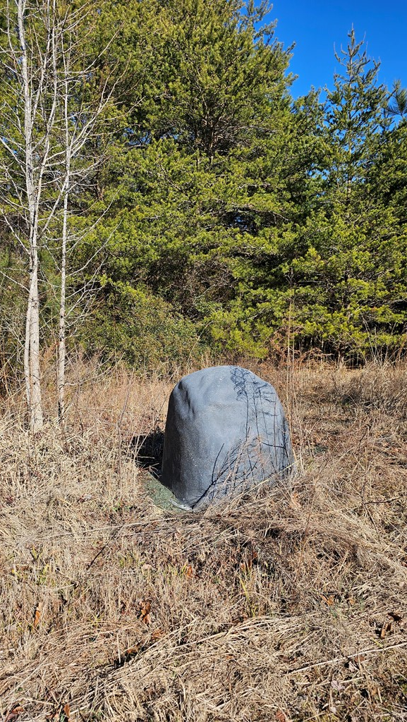 Property Photo: 2395 Daniels Road VA 23917