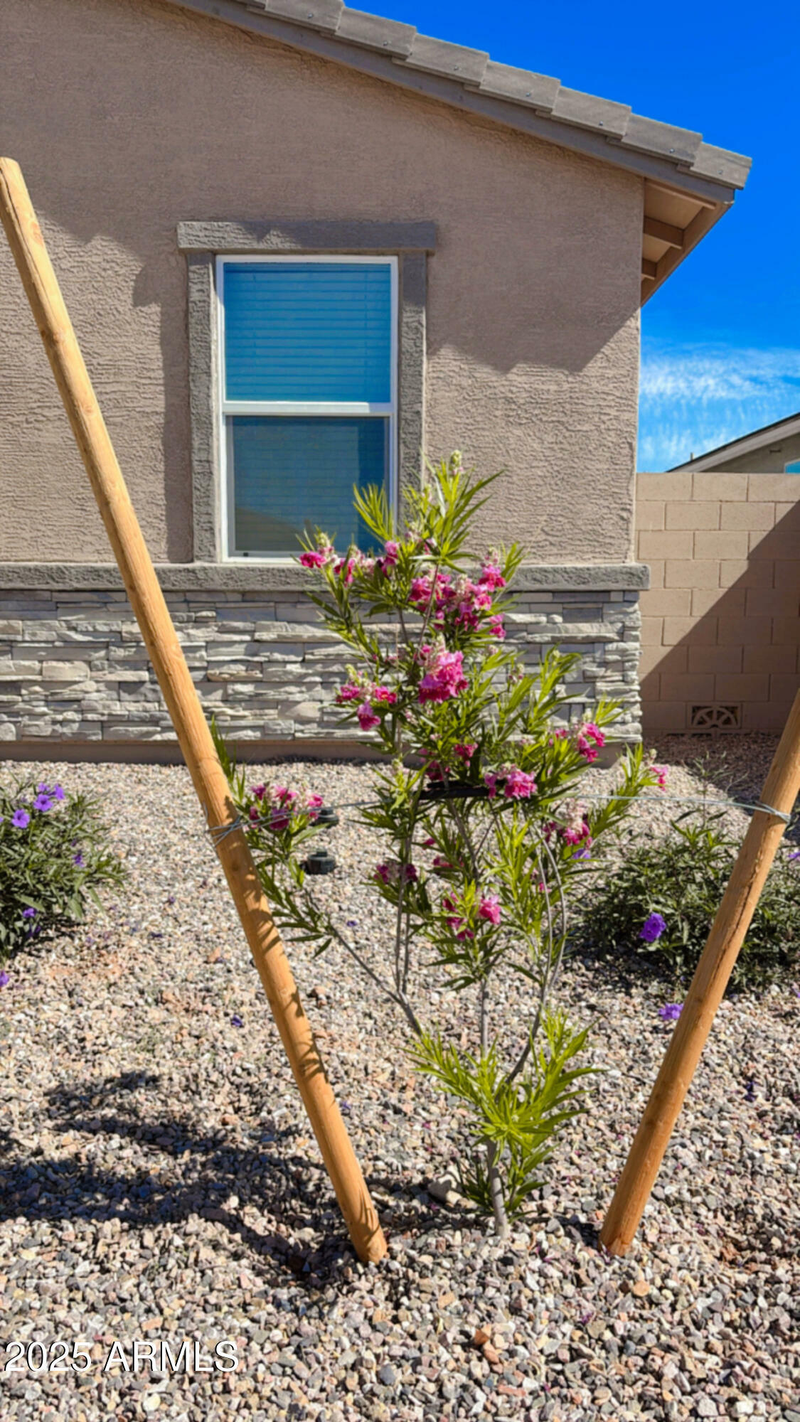 Property Photo: 3346 E Audrey Drive AZ 85143
