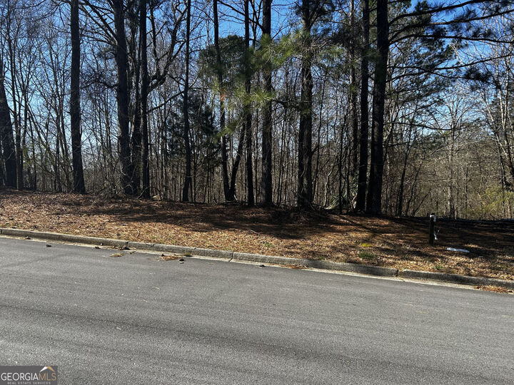 5221 Sandy Shores Court  Stonecrest GA 30038 photo