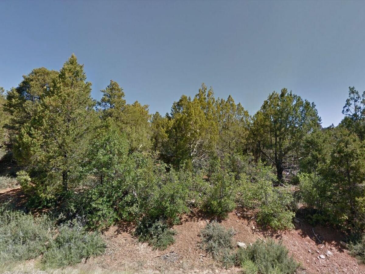 Property Photo: Zion Hunting Est Blk 1 Lot 5 UT 84762