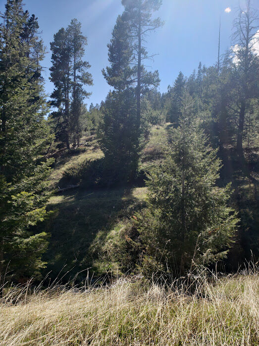Property Photo: Sec 21 T08n R08e Spencer Spencer MT 59645