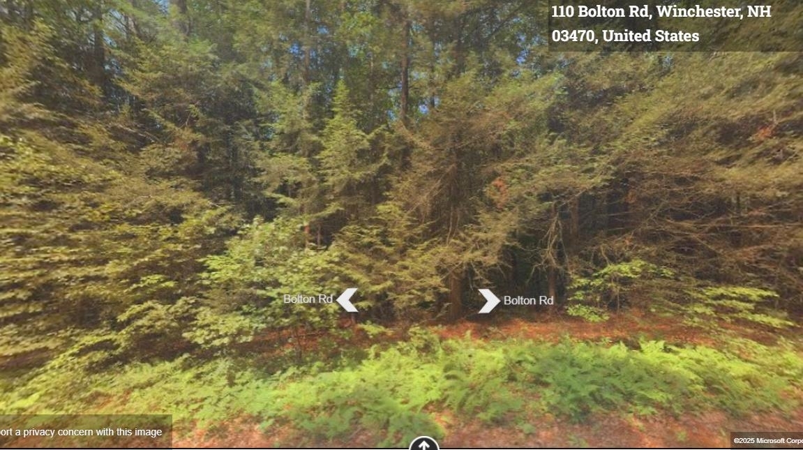 Property Photo: 00 Bolton Road NH 03470