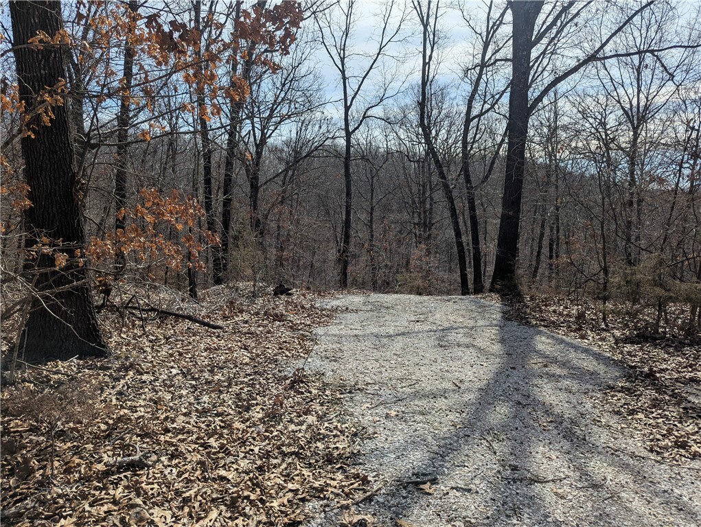 Property Photo: Bill Billings Road AR 72732