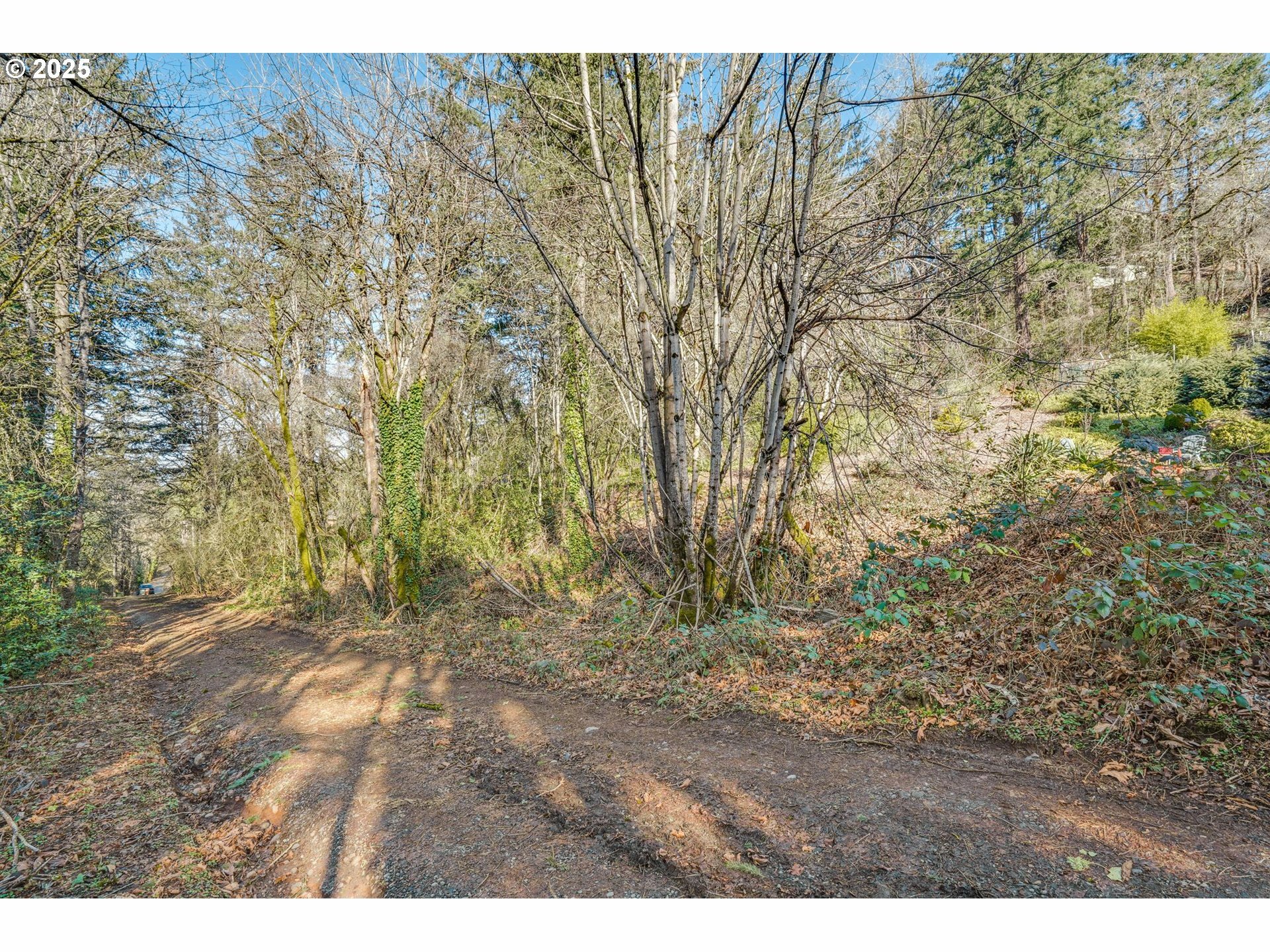 Property Photo:
