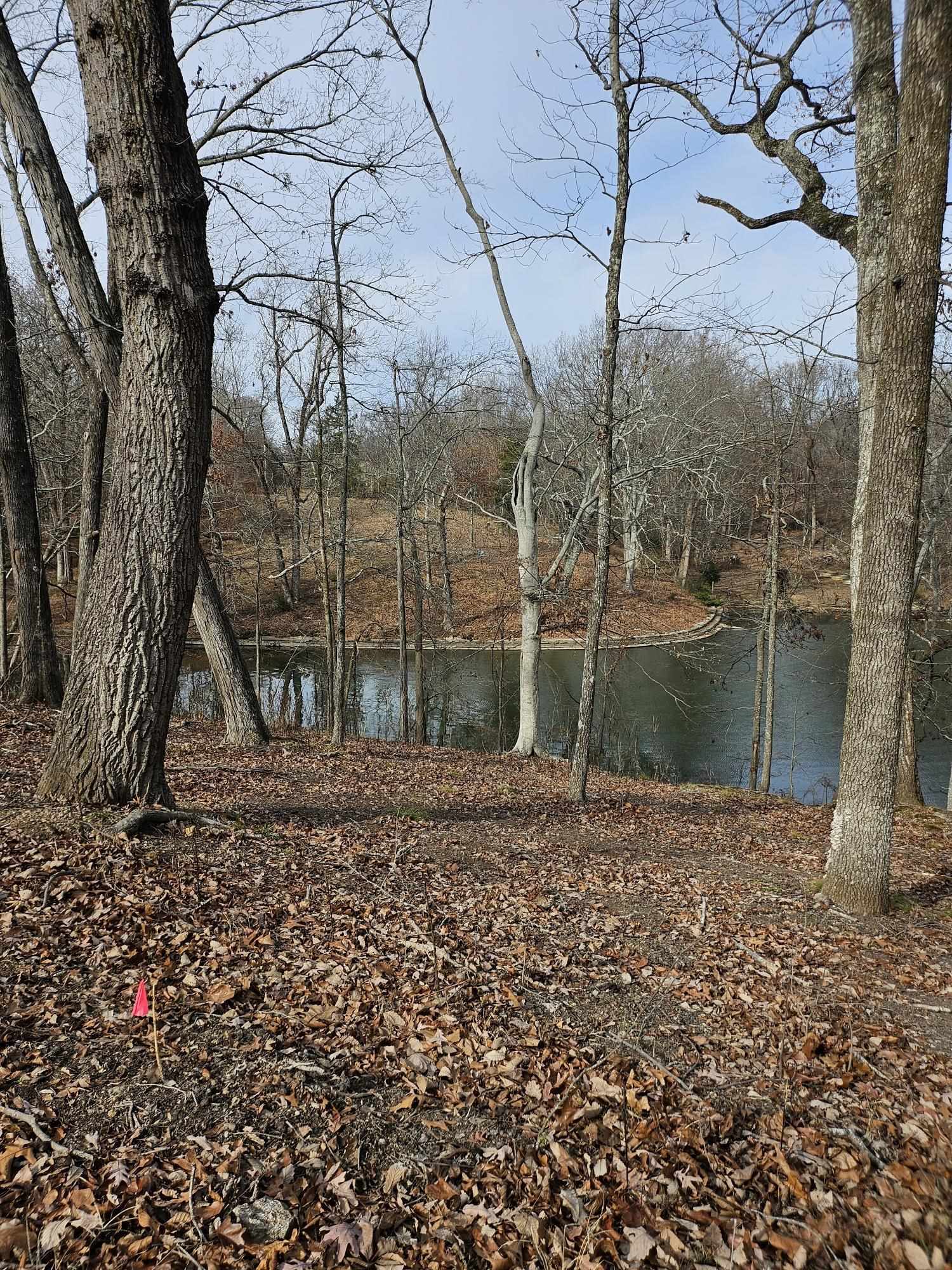 Property Photo: 26 Highland Cove AL 35630 - FLORENCE