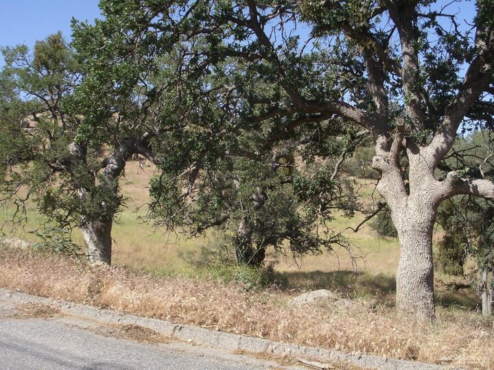 Property Photo:  19520 Quail Drive  CA 93561 