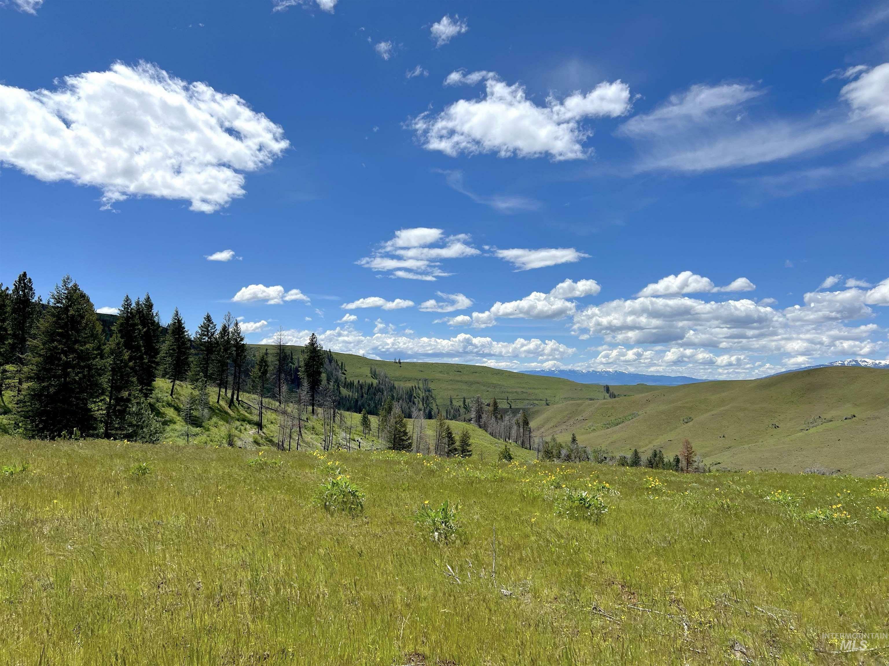 Property Photo:  255 Ac Fall Creek Road  ID 83612 