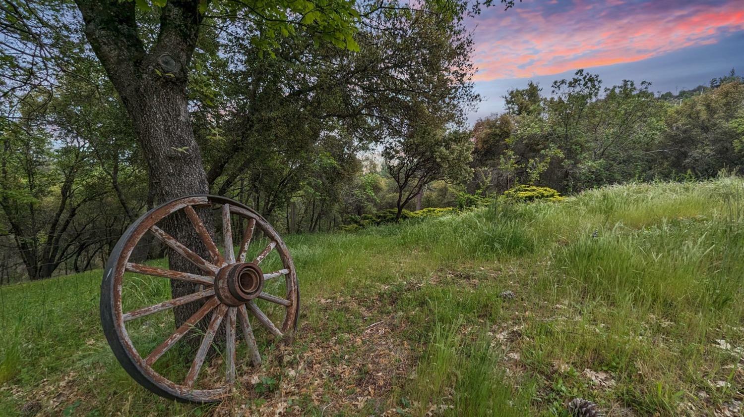 Property Photo:  8209 Mountain Meadow Drive  CA 95246 