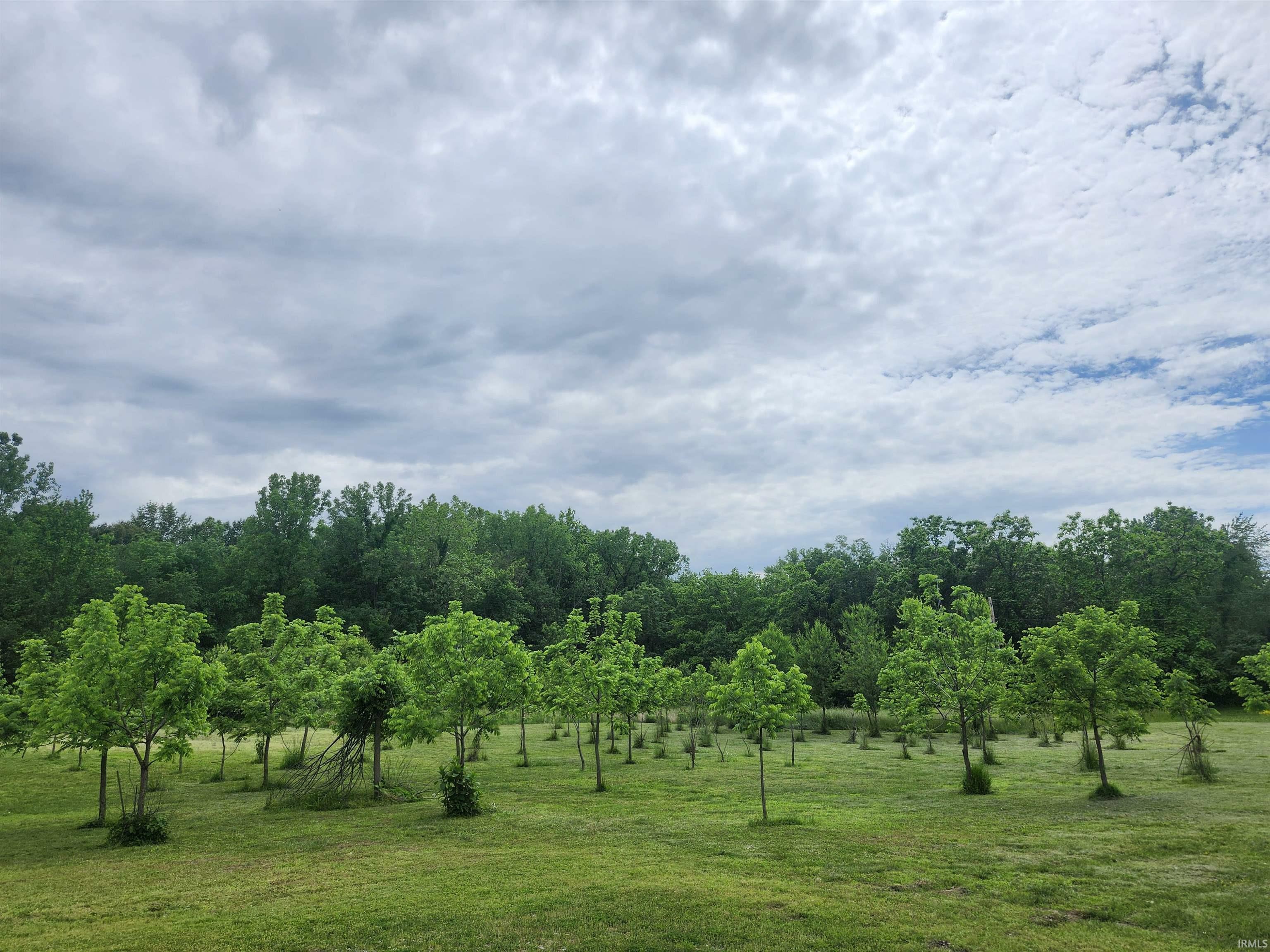 Property Photo:  255 Tower Drive  IN 47601 