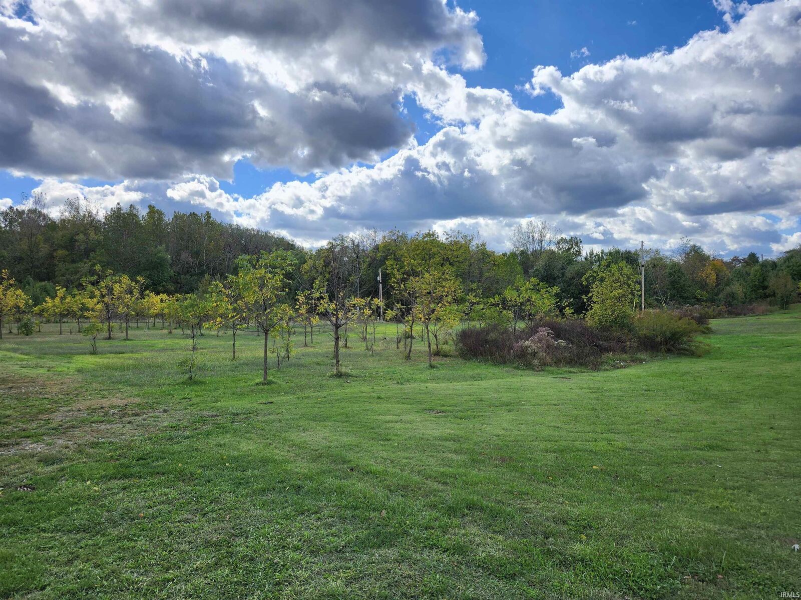 Property Photo:  255 Tower Drive  IN 47601 