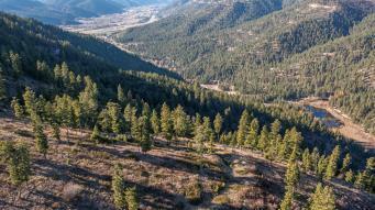 Property Photo:  25575 Patter Spur Road S  MT 59825 