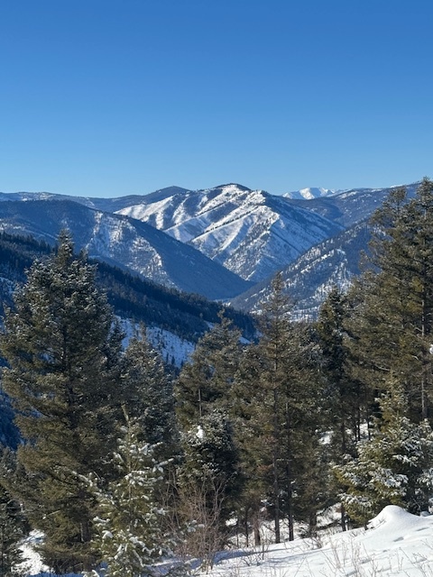 Property Photo: 25575 Patter Spur Road S MT 59825