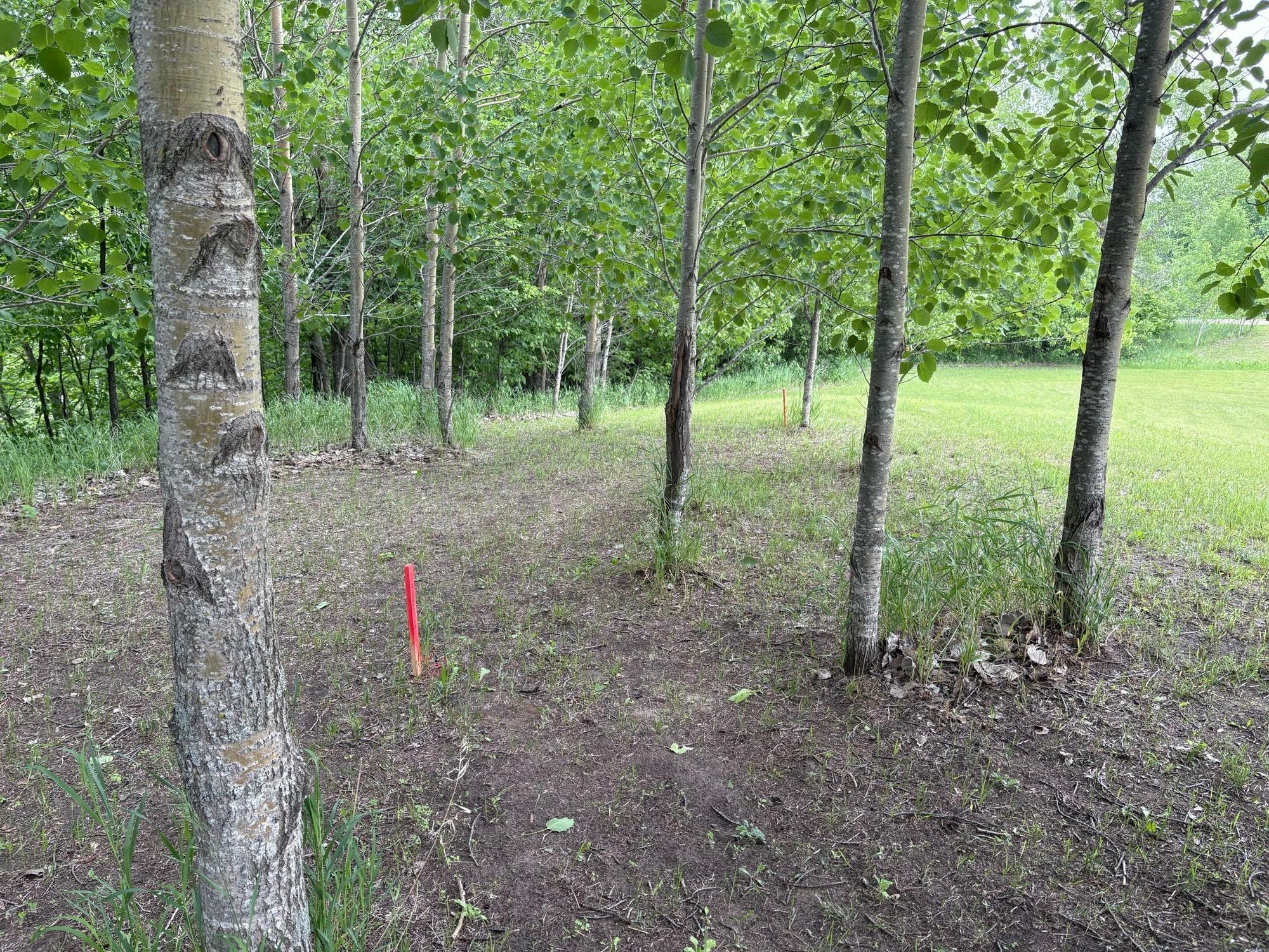 Property Photo: 28247 Water Street Trail MN 56586