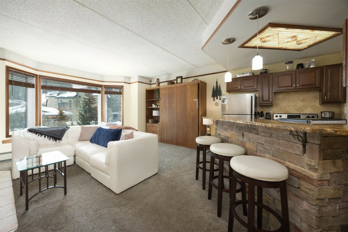 Property Photo: 45 Beeler Place 301 CO 80443