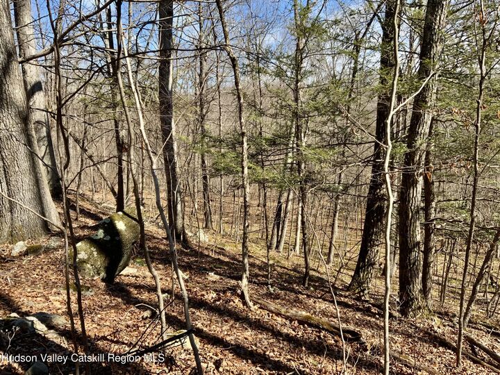 Property Photo:  Tbd Hawleys Corner  NY 12528 