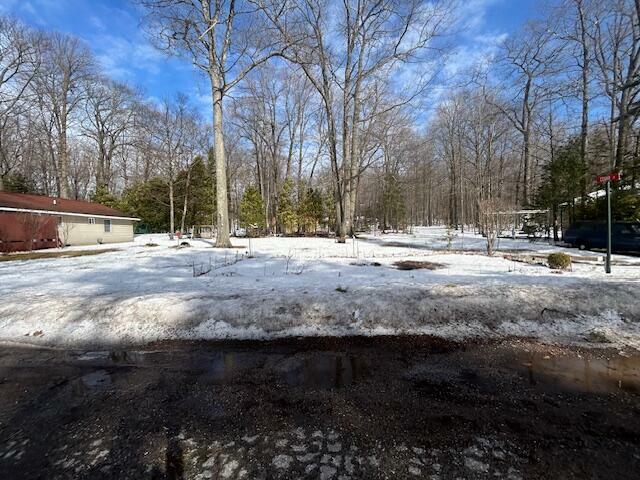 Property Photo:  745 W Shore View (Lot 58/Part Of 88) Lane  MI 49749 