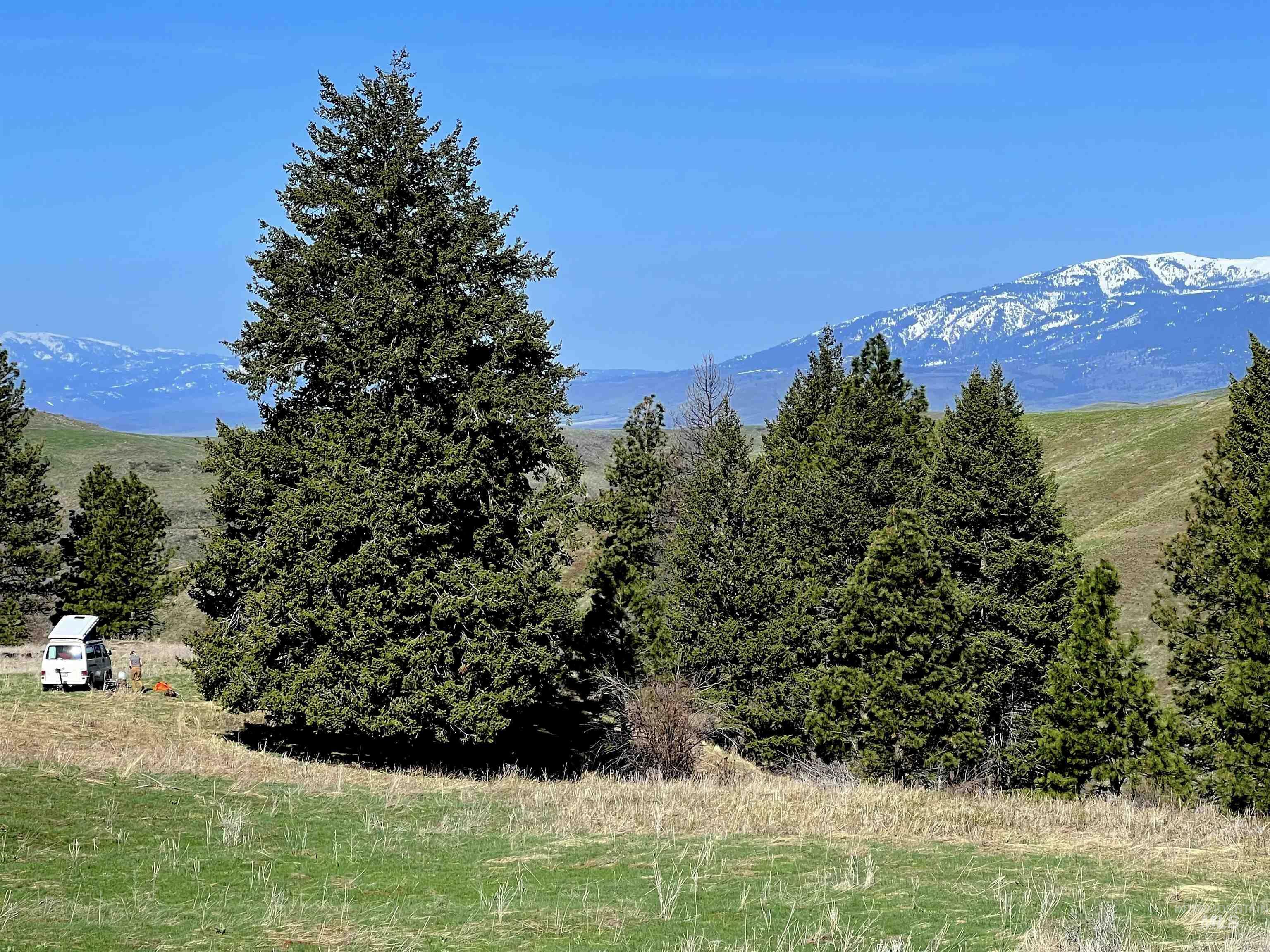 Property Photo:  255 Ac Fall Creek Rd  ID 83612 