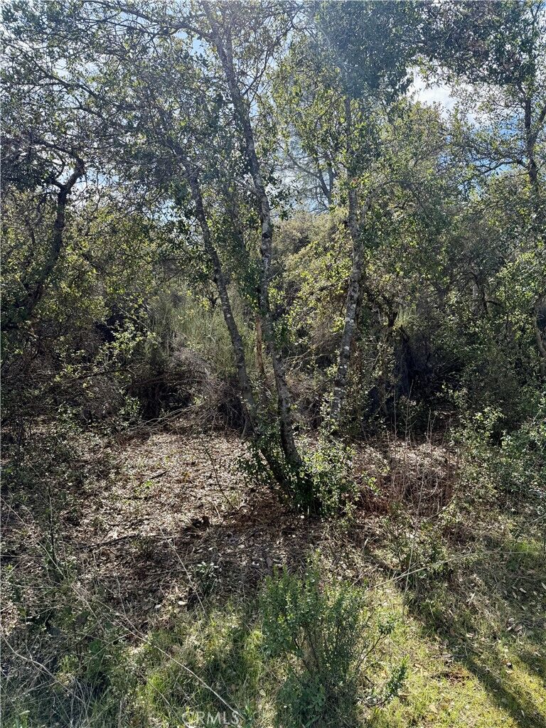 Property Photo:  6430 Plunkett Lane  CA 95451 
