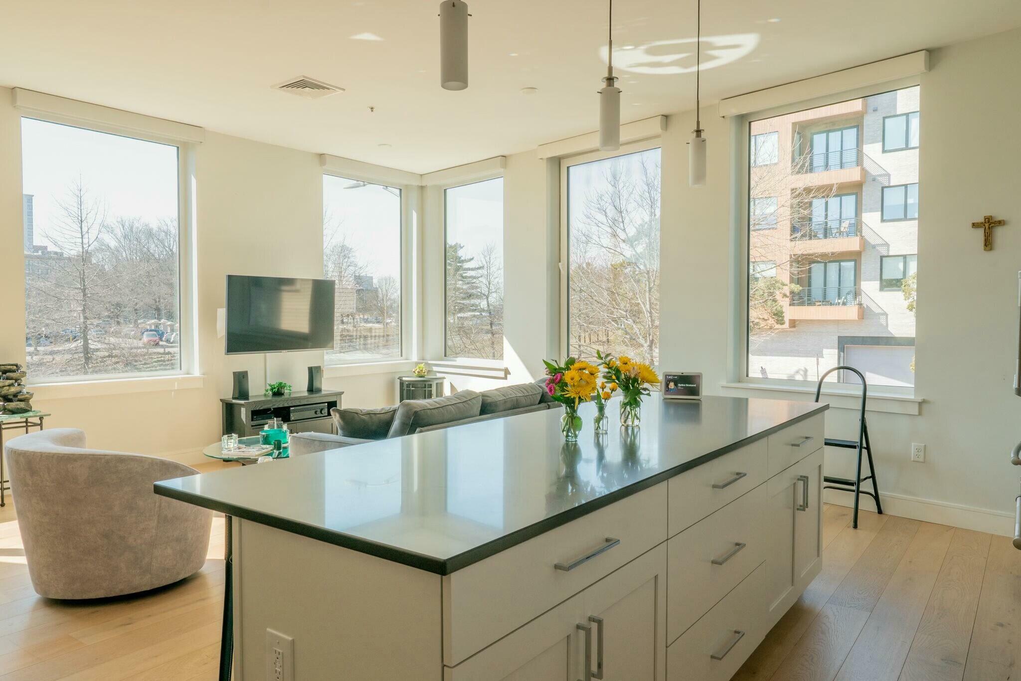 Property Photo:  167 Newbury Street 206  ME 04101 