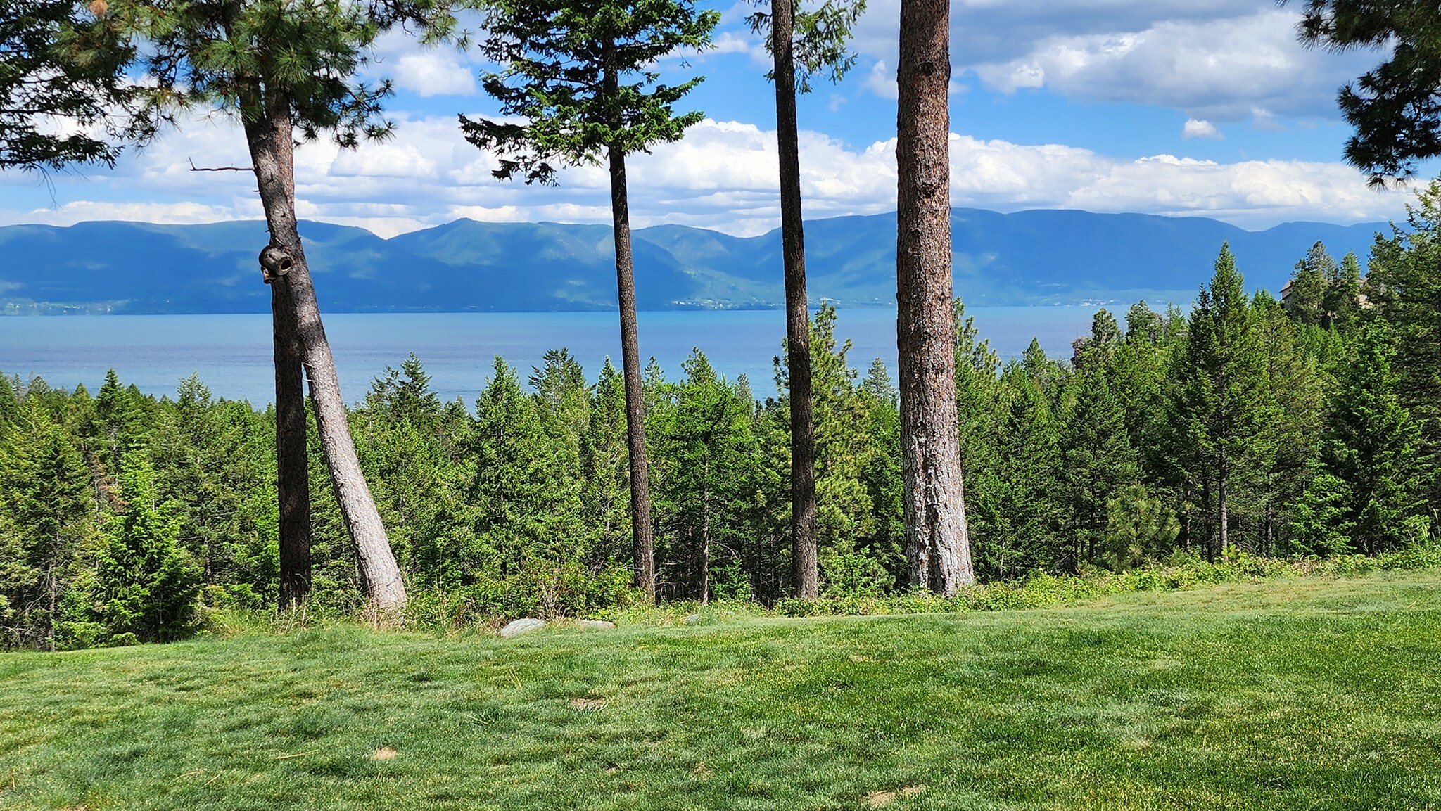 Property Photo: 19486 Wildwood Ridge MT 59931