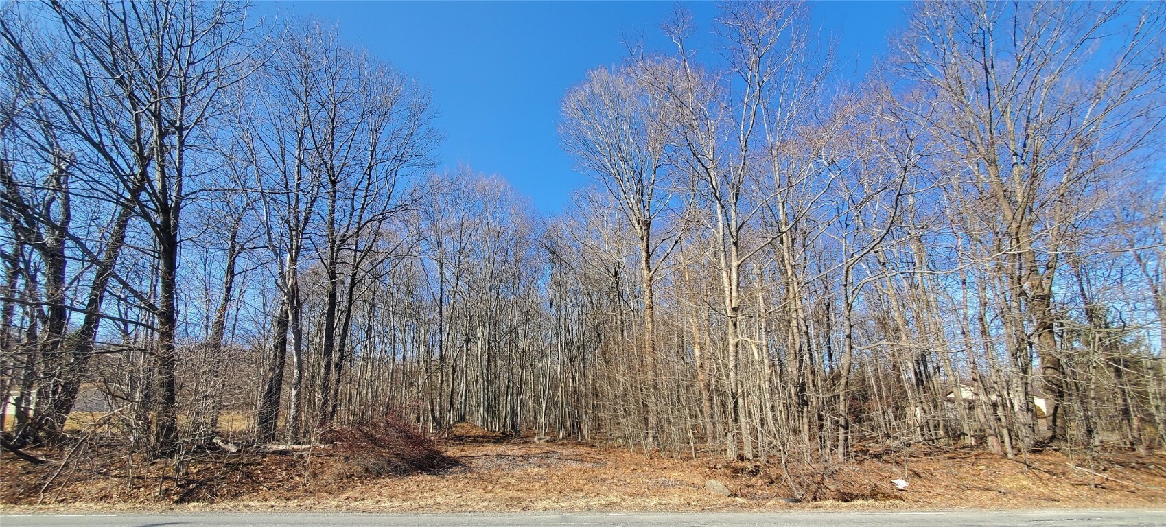 0 State Route 247  Forest City NY 18421 photo