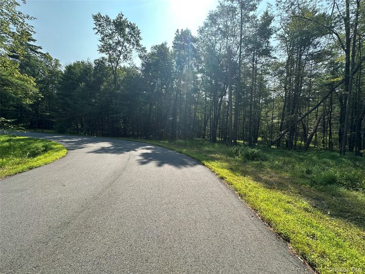 Property Photo: Lot 46 Summit Drive NY 12719