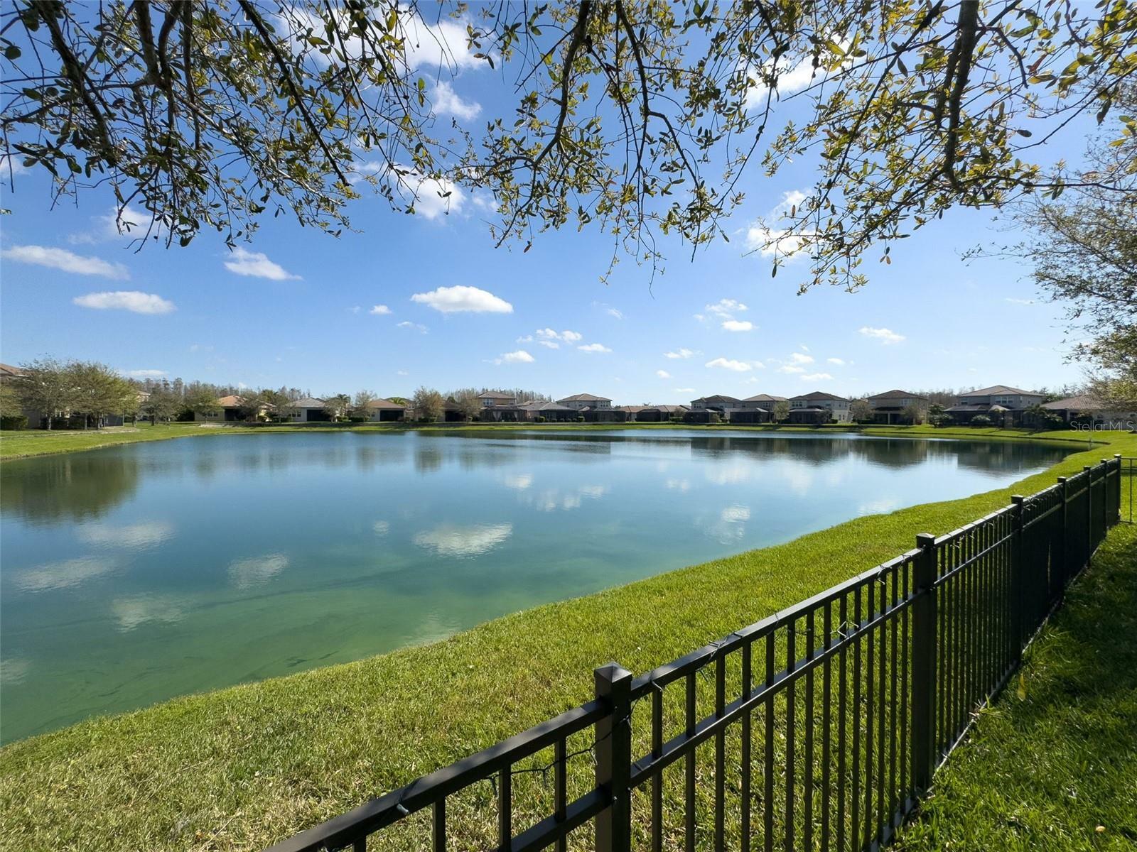 Property Photo:  30423 Ceasar Park Drive  FL 33543 