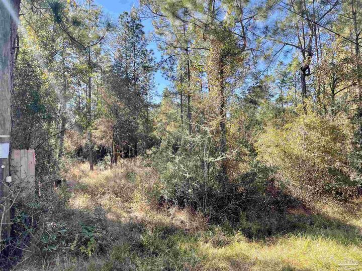 00 (Lot A &Amp B) Edith Ave  Milton FL 32570 photo