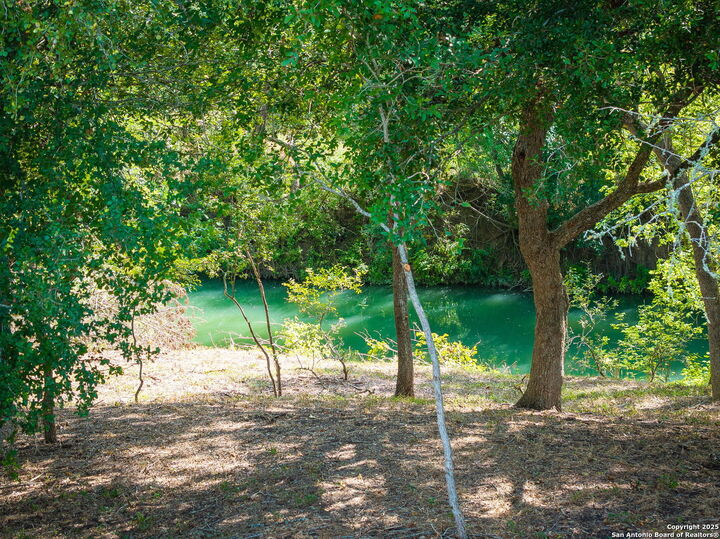 Property Photo:  Tbd Fm 621  TX 78655 