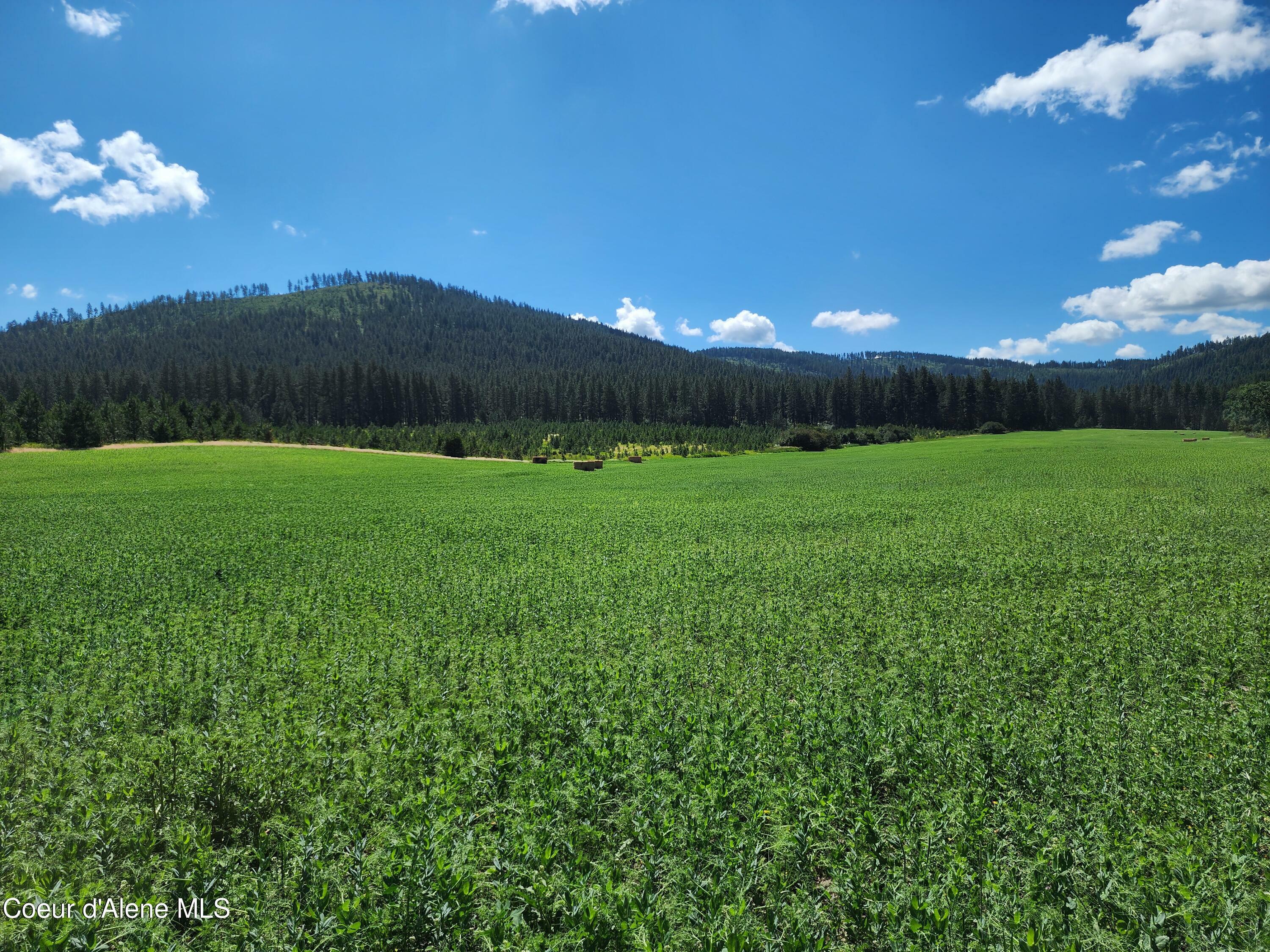 Nka Desmet Rd  Desmet ID 83824 photo