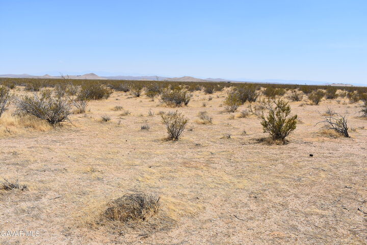 Property Photo: 1490 E Wilson Avenue CA 93501