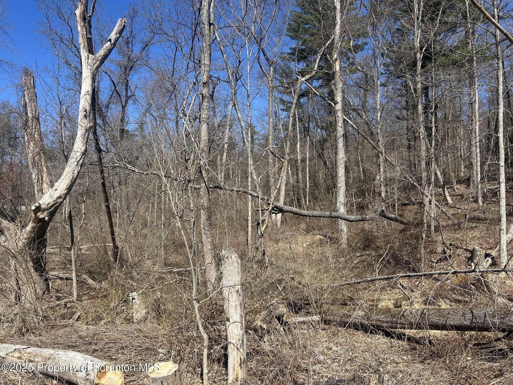 Property Photo: Lot 7 Lower Narrow Rd PA 18411