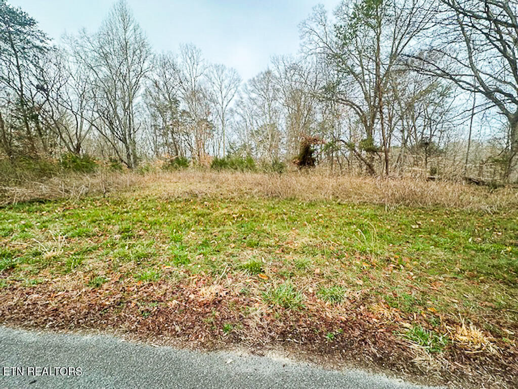 Property Photo:  Lot 1102 Mountain View Lane  TN 37890 