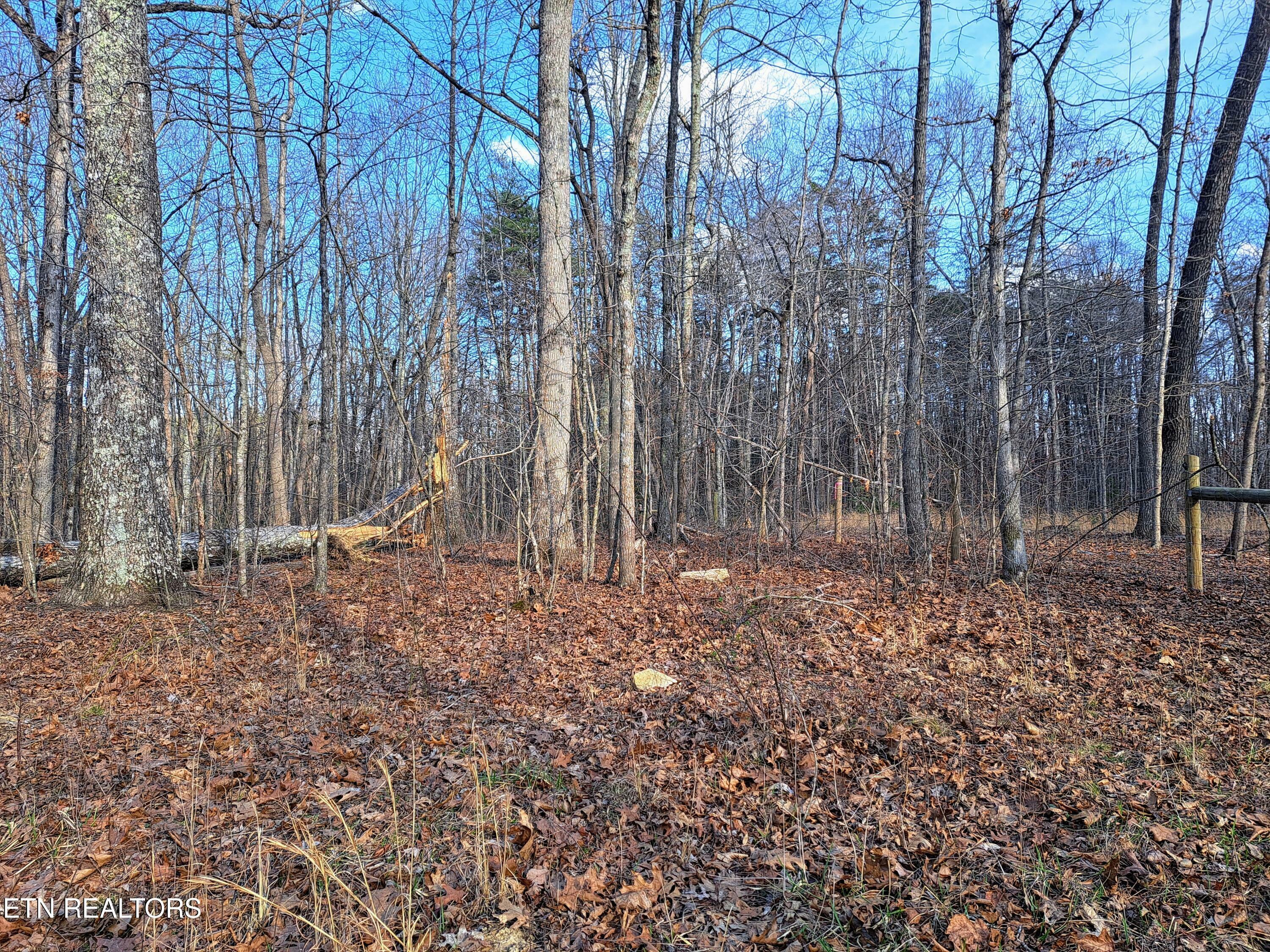 Property Photo: 541 Diane Circle TN 38572