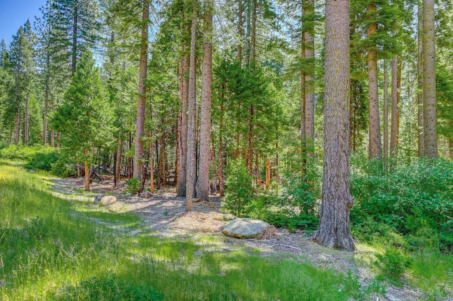 Property Photo: 10 Timber Trail Court CA 95223