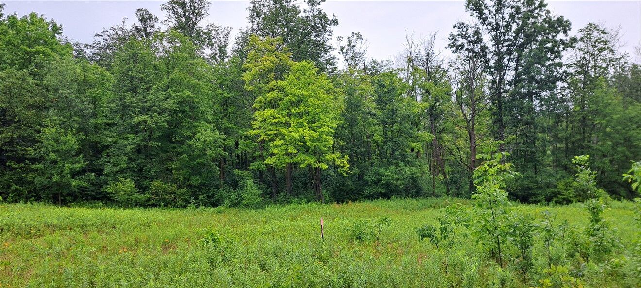 Property Photo: Lot 3 Musky Point Drive WI 54876